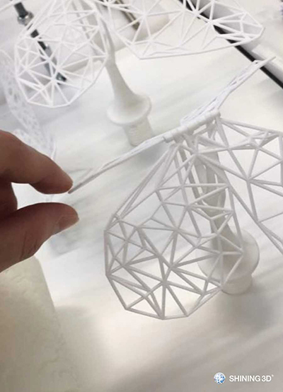 3D scan the butterflies
