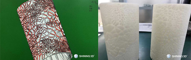 3D scan the butterflies