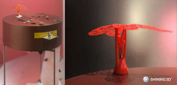 3D scan the butterflies