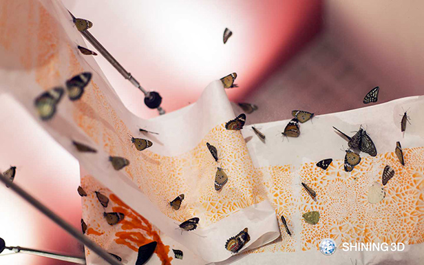 3D scan the butterflies