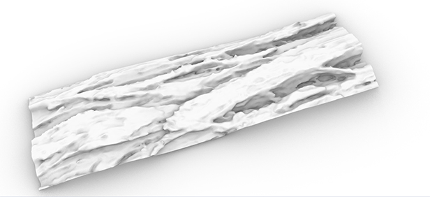 Converting Nature into Jewellery with 3D Scanning