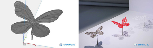 3D scan the butterflies