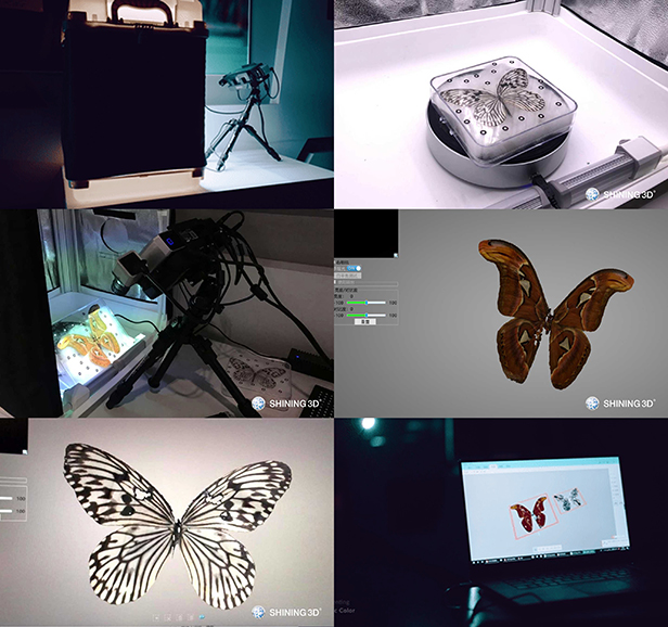 3D scan the butterflies