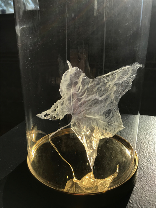Bild 7: 3D-gedrucktes Blatt aus transparentem Harz